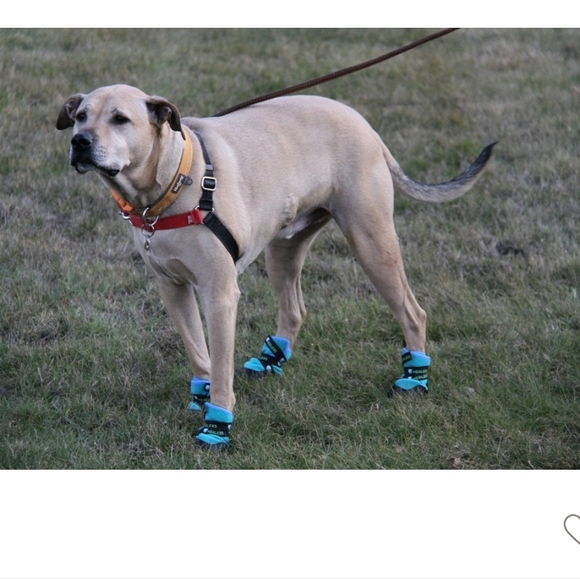 Healers Urban Walker Dog Boots -  M/S - Teal - Picture 3 of 9